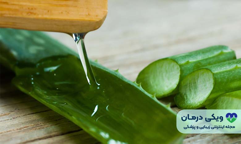 ژل داخلی گیاه آلوورا