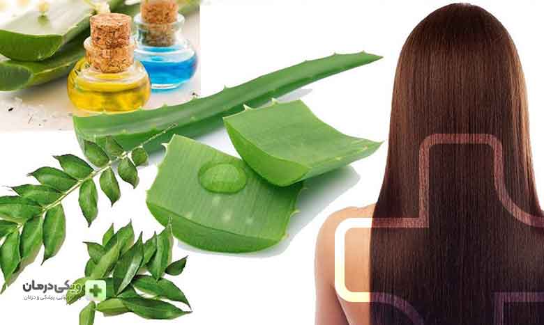 درمان گیاهی ریزش مو موثرترین راه برای داشتن موهایی سالم است