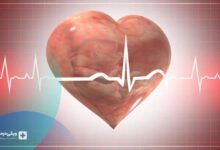 علائم تشکیل قلب جنین