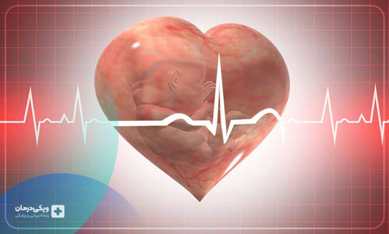 علائم تشکیل قلب جنین