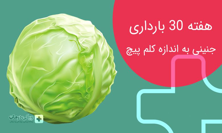 شرایط جنین در هفته سی ام بارداری