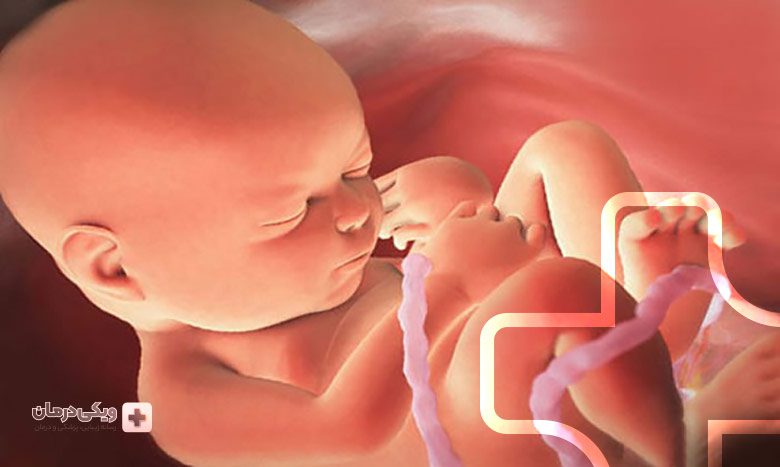 علائم هفته سی و دوم بارداری
