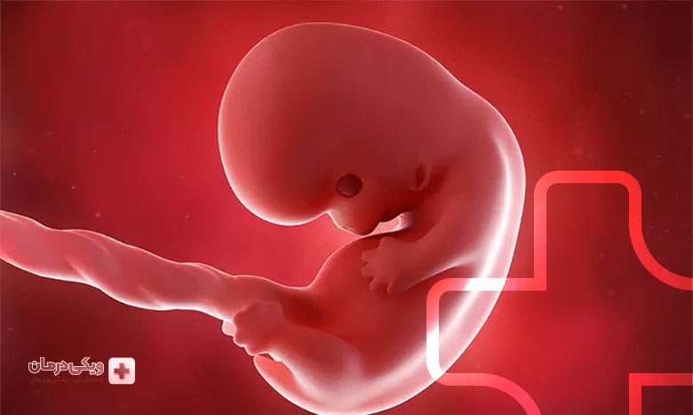 علائم هفته سی و نهم بارداری
