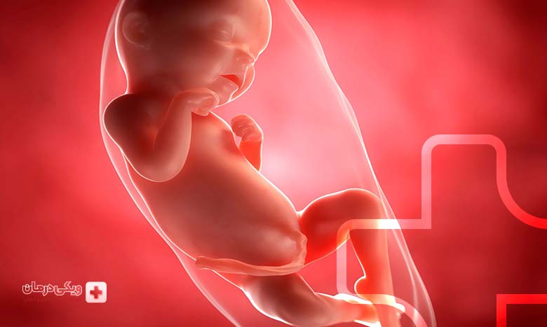 حرکات جنین در هفته سی و ششم بارداری