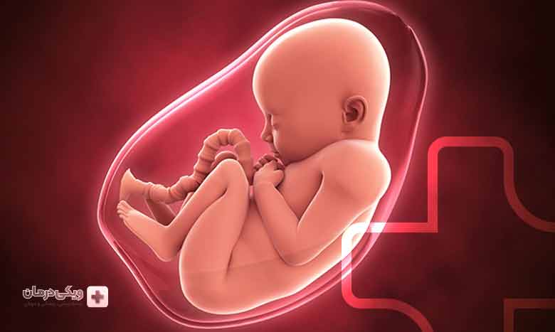 مراقبت های سه ماه اول بارداری