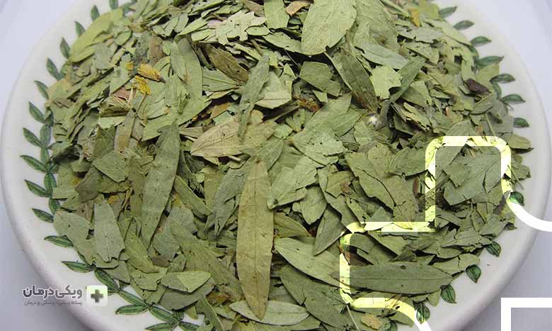 چای برگ سنا