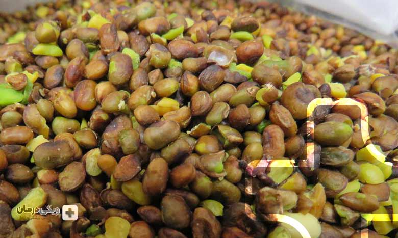 خواص پسته کوهی