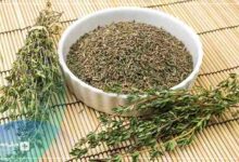خواص آویشن در درمان بیماری‌ها + 18 خاصیت اصلی این گیاه
