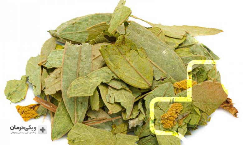 برگ سنا و خواص آن