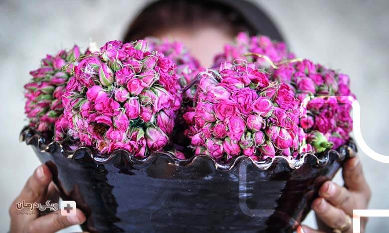 خواص درمانی گل محمدی