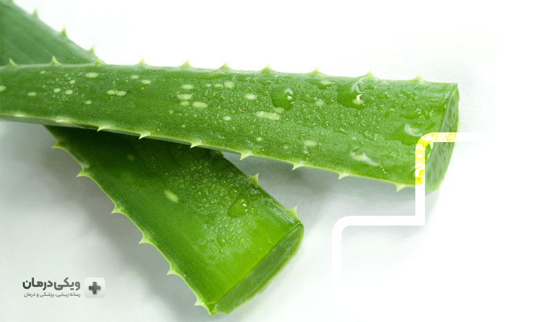 استفاده از آوئه ورا برای درمان هموروئید