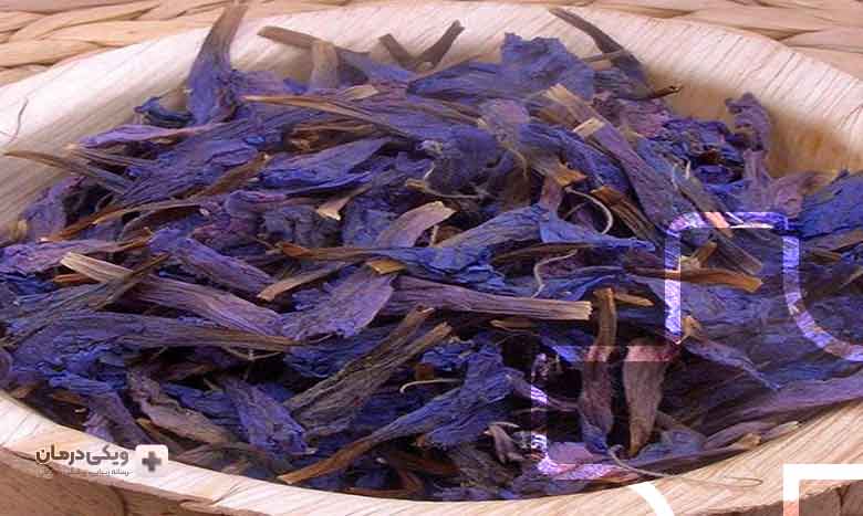 خواص گل گاو زبان