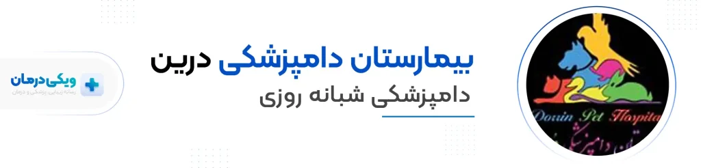 کلینیک درین بهترین کلینیک دامپزشکی تهران