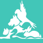 hedear-Veterinary-1 دامپزشکی شبانه روزی
